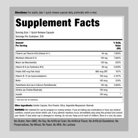 Piping Rock B-100 Vitamin B Complex | 250 Capsules | Non-GMO | by Piping Rock