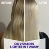 PROVOKE Touch of Silver Go Icy Shampoo 200ml, Icy Platinum