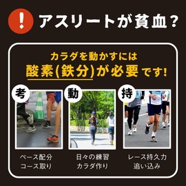 アスリートヘム鉄(CaFeMg) 120粒 ヘム鉄 サプリ