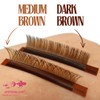 Pinkfishes Easy Fan D0.05 Dark Brown Lash Trays - Professional