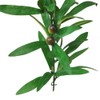 1Pc Greenery Vine Artificial Greenery Garland Vine for Wedding Parties