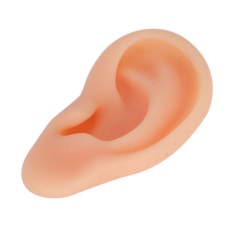 Professional Simulated Ear Model Acupuncture Practice Massage Teaching ToolLeft