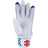 Gray-Nicolls POWER BATTING GLOVES - NEW FOR 2021 (J/RH)