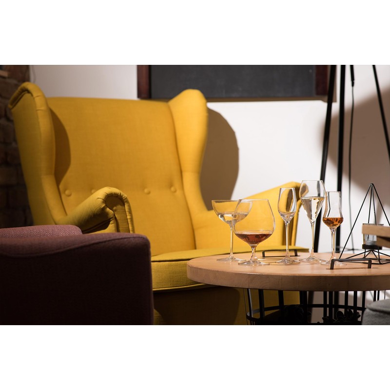 RONA Champagne Saucer Glass | Set of 6 | 12