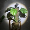 Metal Moss Poles for Climbing Plants, D-Shape Sphagnum Moss Pole