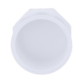 CHARLOTTE PIPE 2 SCH 40 PLUG SPG PRESSURE (10 Unit Box)