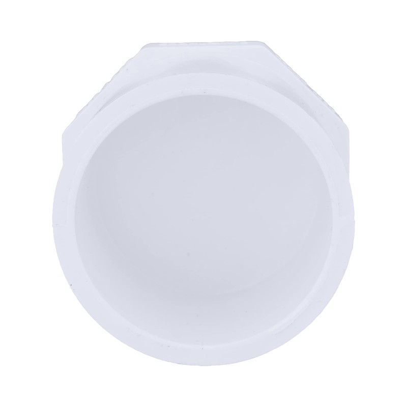 CHARLOTTE PIPE 2 SCH 40 PLUG SPG PRESSURE (10 Unit