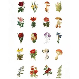 Vintage Washi Sticker Set Floral Mushroom Tulip Plant Decorative Stickers for Art Craft Srapbooking Album Planner Journals Letter Envelope Diary Book Water Bottle Cup