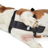Pets Go 2 Dog Safety Harness For Walking & Car