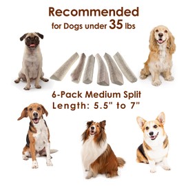 Deluxe Naturals Elk Antler Chews for Dogs | Naturally Shed USA Collected Elk Antlers | All Natural A-Grade Premium Elk Antler Dog Chews | Product of USA, 6-Pack Medium Split