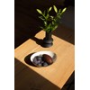 LaLe Living Glam Bowl Iron Gold / White 23.5 x