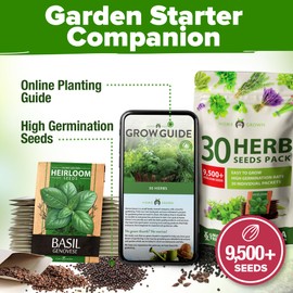 HOME GROWN 30 Herb Seeds for Planting 9,500+ Non-GMO Heirloom Seeds | Extra Large Variety Pack Herb Kit – Indoor Outdoor & Hydroponic | Culinary Seed Set | Grow Your Own Herbs | Gardening Gift
