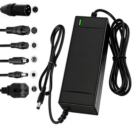 SGS Certified 54.6V 2A Fast Electric Bicycle Charger for 48V Ebike Battery - Fast Charging, Overcharge Protection, Compatible with Ecotric City/Beach, Lectric XP 2.0/3.0, Evercross H5/H7