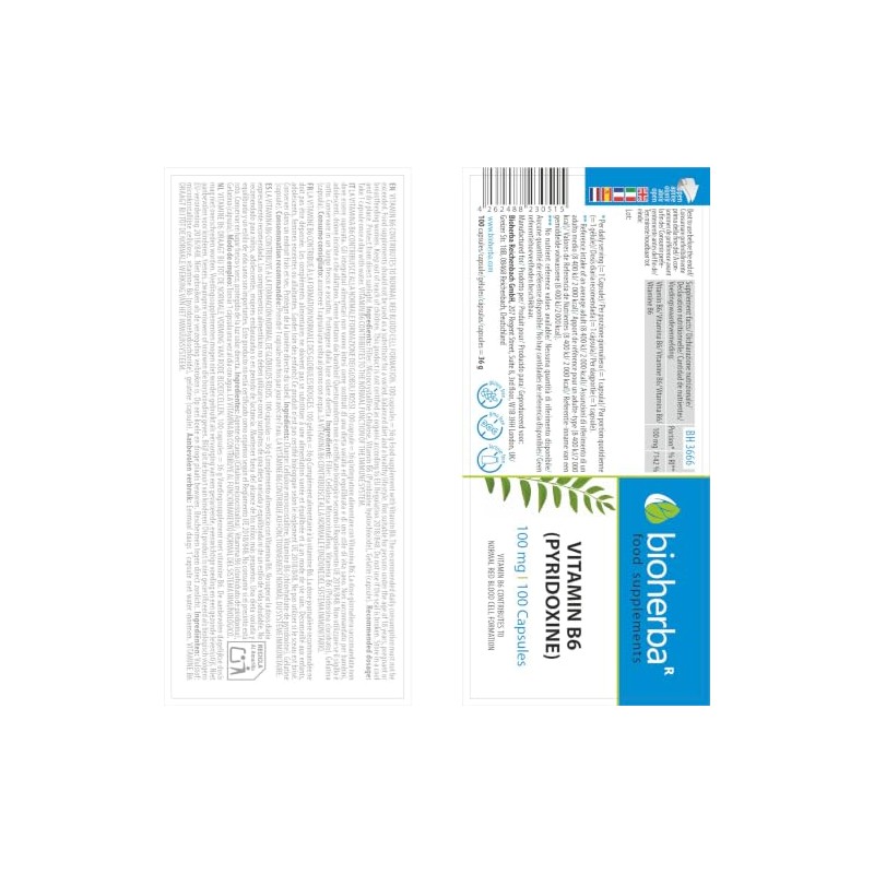Vitamin B6 (Pyridoxine) 100 mg, 100 Capsules | High Strength