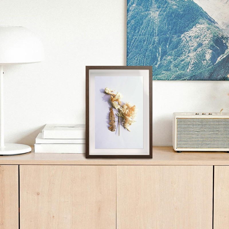 Deep Picture Frame Shadow Box - 3D Picture Frames for