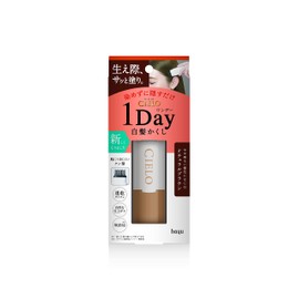 Cielo One Day 1 Day Gray Hair Strainer, Natural Brown, Before Going Out, Dye Only 1 Day, Gray Hair Dye Hoyu, 1 Piece (x1)