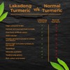Go-Yogik Lakadong Turmeric Powder-5.3oz, High Curcumin -Lab Tested | Superfood