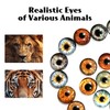 30PCS Craft Eyes Round Design for DIY Projects, Glass Eyes