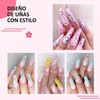 Kit Profesional De Uñas Acrílicas, 25 Unidades, 12 Colores