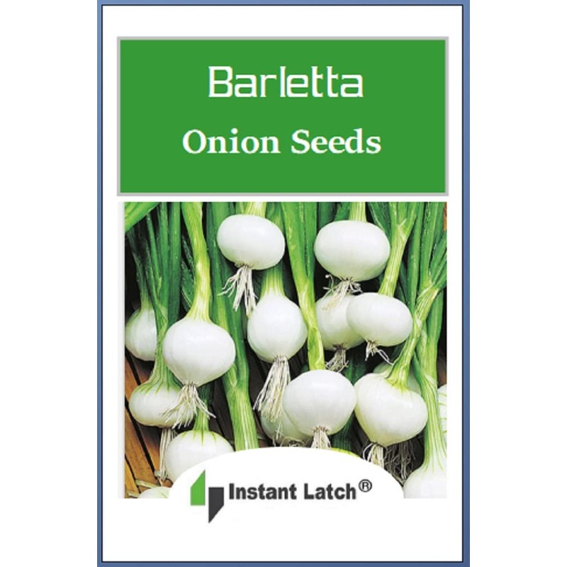 Instant Latch 250 Barletta Onion Seeds | Non-GMO | Heirloom