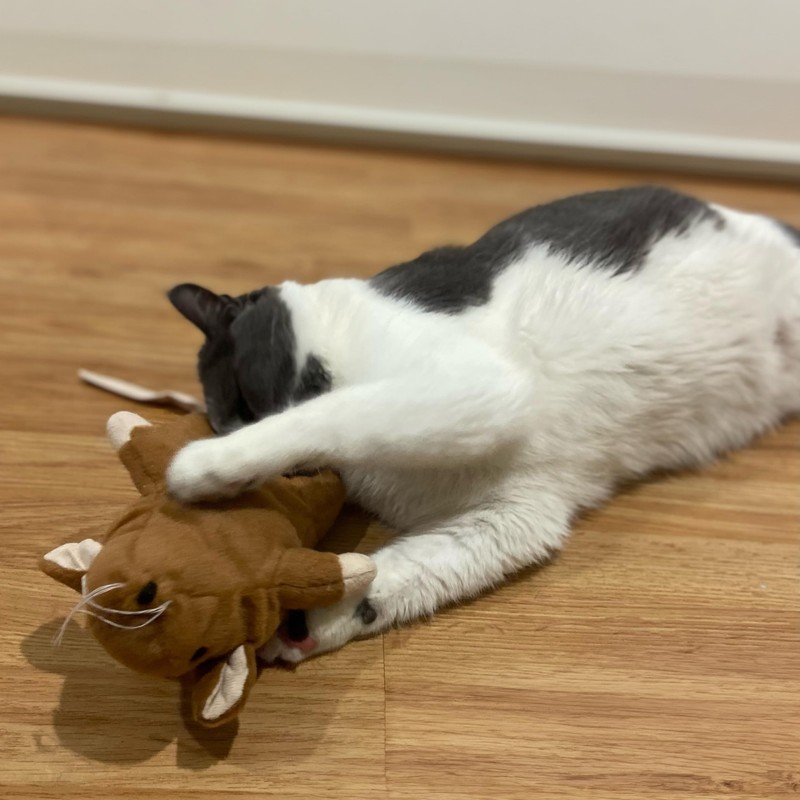 SPOT Super Mouse Sam with Catnip - Lifelike Cat Toy,