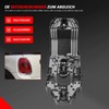 Bomunik Tail light holder + bulb + plug for MINI