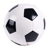 Sport-Thieme Football training
