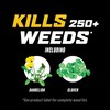 Ortho WeedClear Weed Killer for Lawns with Comfort Wand, Kills
