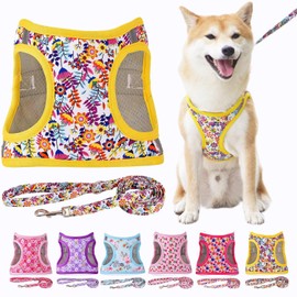 Moonpet Step in Dog Harness Leash Set- All Weather Reflective No-Pull Floral Pattern Padded Mesh Vest Harness for Cats Puppy Extra-Small Small Medium Large Dogs - White Flower - M