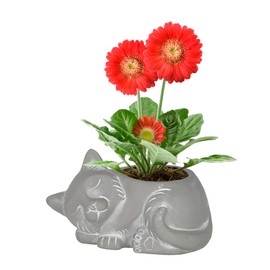 Classic Home and Garden 260010P-396 Cat Planter, Small, Natural