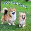 XZSKD 2 PCS Dog Treat Ball, Treat Ball Dog Toy,