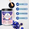 Butterfly Pea Flower Powder 5:1 Extraction | Blue Matcha Tea,