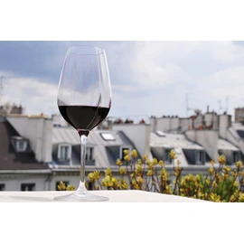 L'Atelier du VIN - Glass L'Exploreur Oenology - Technology Nervure des Arômes - Libère Toutes Les Saveurs - 4 Glasses