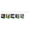 Tacklehouse RBS80 No. 11 Rolling Bait Shad Slice Chart, 3.1