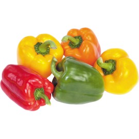 CEMEHA SEEDS - Sweet Bell Pepper Rainbow Mix Non GMO Vegetable for Planting