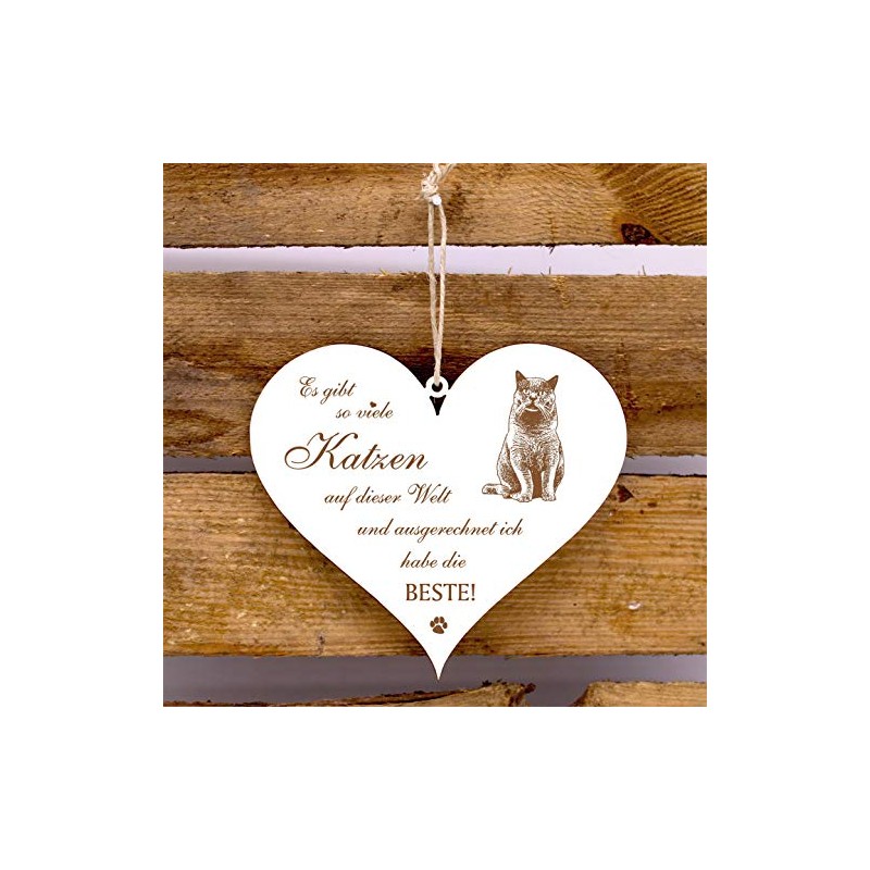 Door Sign with German Text "Es gibt so viele Katzen