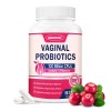 Zebora Vaginal Probiotics for Women 100 Billion CFUs, Probiotic for