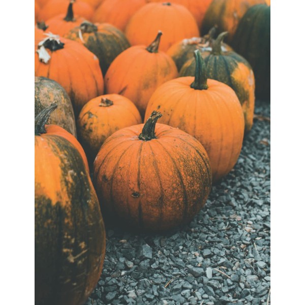 Halloween Pumpkin Notebook: Celebrate Halloween With This Festive Composition Notebook