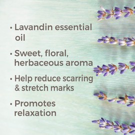 Plant Therapy Lavandin Essential Oil 30 mL (1 oz) 100% Pure, Undiluted, Therapeutic Grade