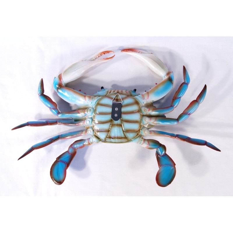 Charlotte International Large Replica Chesapeake Bay Blue Crab Wall Decor