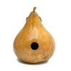Gourd Birdhouse Natural