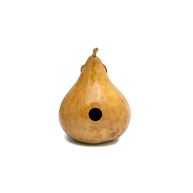 Gourd Birdhouse Natural