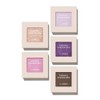 The Saem Saemmul Shadow Box Single 3colors GR01 Cool Dusty
