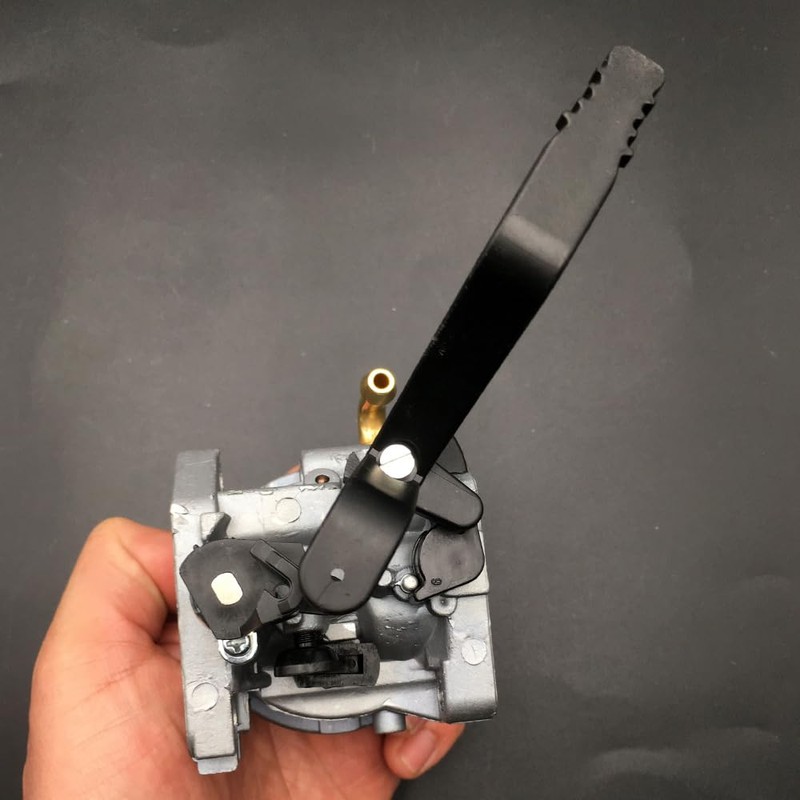 AOKUS Huayi Carburetor Compatible with Briggs & Stratton Storm Responder