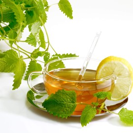 Valdena Bio 100% All-Natural Organic Flavored Lemon Balm and Lemongrass, Pack of 3 - 20 Individually wrapped Tea Bags in each pack - 60 Tea Bags in Total