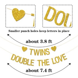 Twins Double the Love Banner - Baby Shower Party Supplies - Twins 1st Birthday - We are One Oh Babies Party Decorations - Gold Glitter