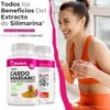BioHerb® | Cardo Mariano, Extracto 80% Silimarina, 180 Cápsulas de
