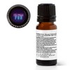 Plant Therapy Too Much Fun Holiday Essential Oil Blend 100%