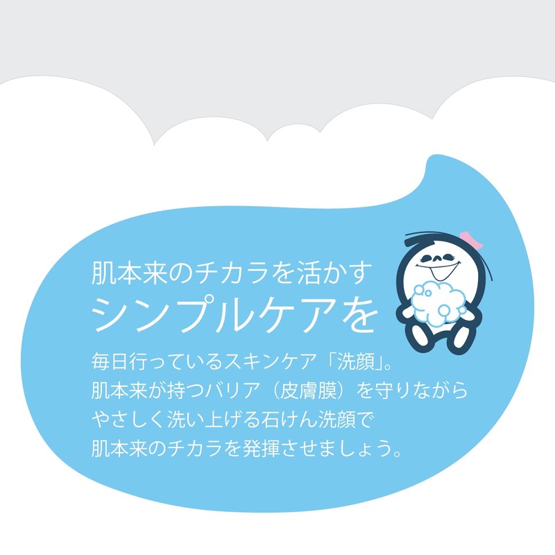 Pure Soap, Facial Cleansing Foam Type, 6.1 fl oz (180