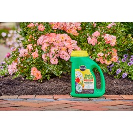 Miracle-Gro 3001910 Shake 'N Feed All Purpose Continuous Release Plant Food